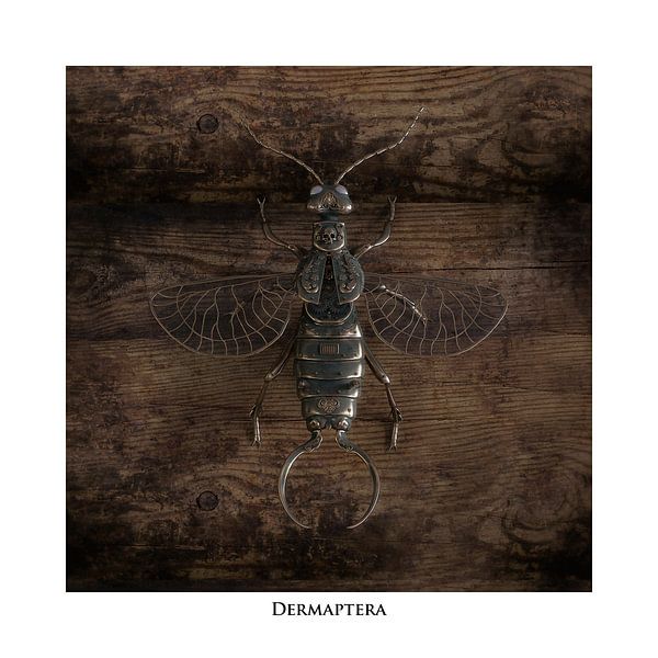 Steampunk Dermaptera von Oliver Kieser