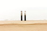 Westerschelde