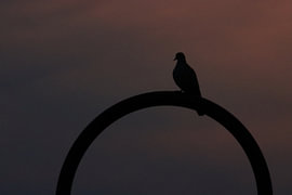 The Peace of the Evening by Mootjes