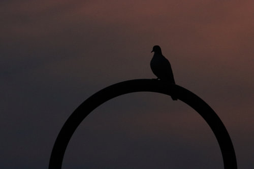 The Peace of the Evening