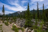 Terrain accidenté dans les montagnes Rocheuses Canada