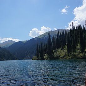 See in den Bergen von Kasachstan von Lindy van Oirschot