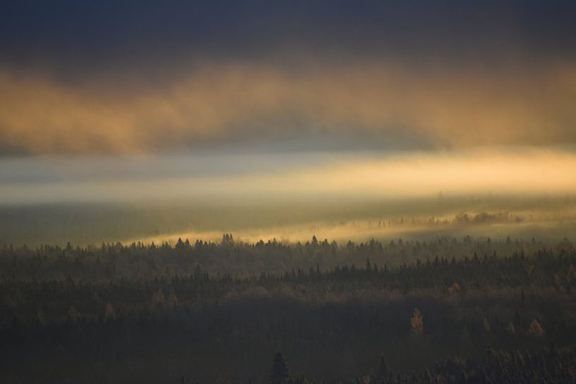 Ein Nebel an einem Herbstmorgen von Claude Laprise