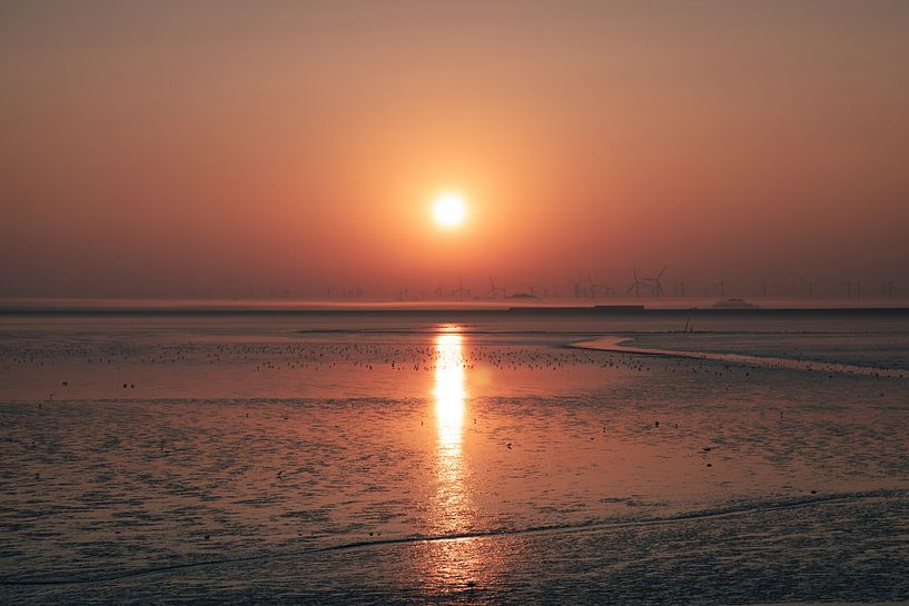 Sunrise over the mudflats by Timo Brodtmann Fotografie