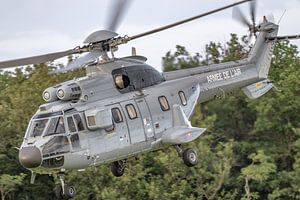 Aerospatiale AS-332L1 Super Puma der französischen Luftwaffe ist soeben abgehoben.