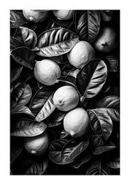 Ripe lemons surrounded by fresh leaves, black and white by Poster Art Shop