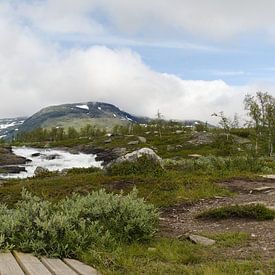 Het ruige landschap van Zweeds lapland van Welmoed Bulthuis-Rondaan