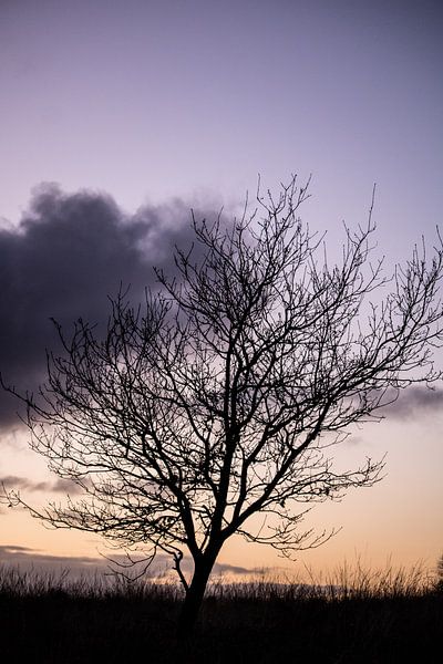 Sunset at Posbank by inez