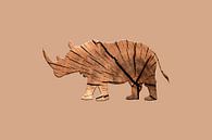 rhinobois by Catherine Fortin thumbnail