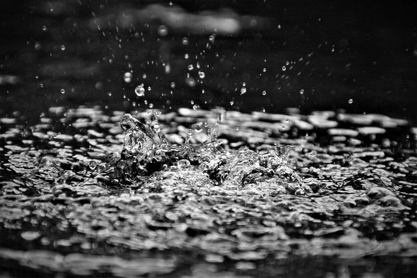 Splash par Marije Zwart