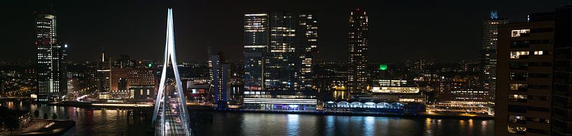 Rotterdam skyline bij nacht par Sander Laurey