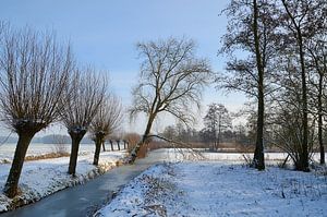 Winter in de Slingelandse plassen