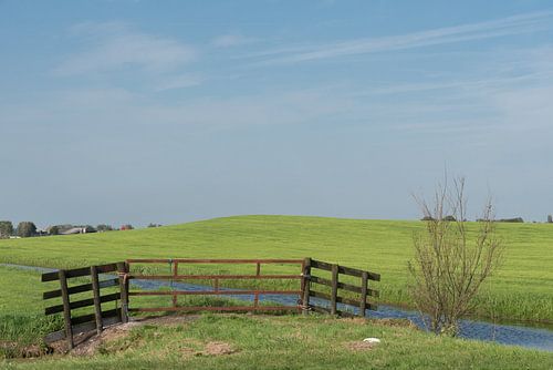 Zanddonk de Schoonenburgse Heuvel