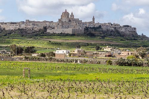Malta zicht op de stad Mdina in het centrum van het eiland