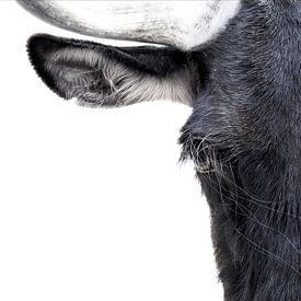 Silence in Detail by peter reinders