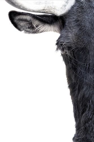 Silence in Detail by peter reinders