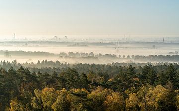 Sunrise view on an foggy morning in Montferland