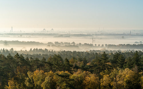 Mistige zonsopgang boven de bossen van Montferland