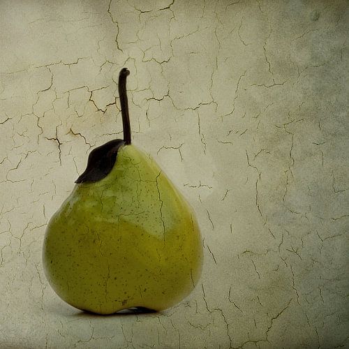 pear by Claudia Moeckel