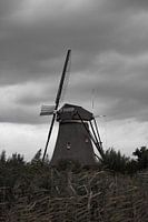 Mill of Kinderdijk