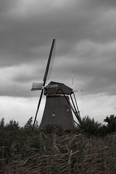 Mill of Kinderdijk by Luc Sijbers