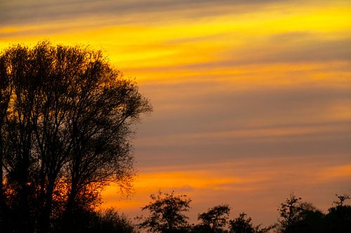 Coucher de soleil avec des couleurs étonnantes sur les arbres en automne