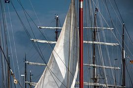 Sails and masts in the port of Harlingen by Harrie Muis