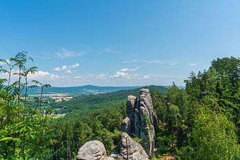 Atemberaubende Aussichten mit Felsformationen und Waldlandschaften