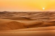 Wüste bei Sonnenuntergang von Bart Hendrix Miniaturansicht