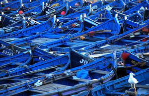 Bateaux bleus au Maroc