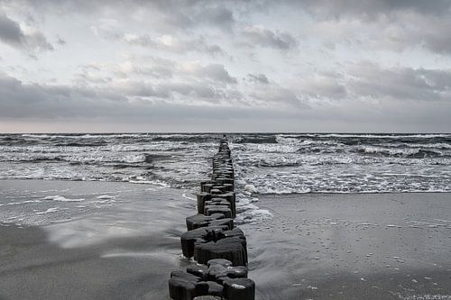 Buhne in Zingst aan de Oostzee, reikt in zee