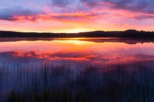 Sonnenaufgang am See
