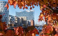 Hafencity von Hamburg, Deutschland von Alexander Ludwig Miniaturansicht