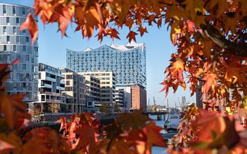 Hafencity von Hamburg, Deutschland von Alexander Ludwig