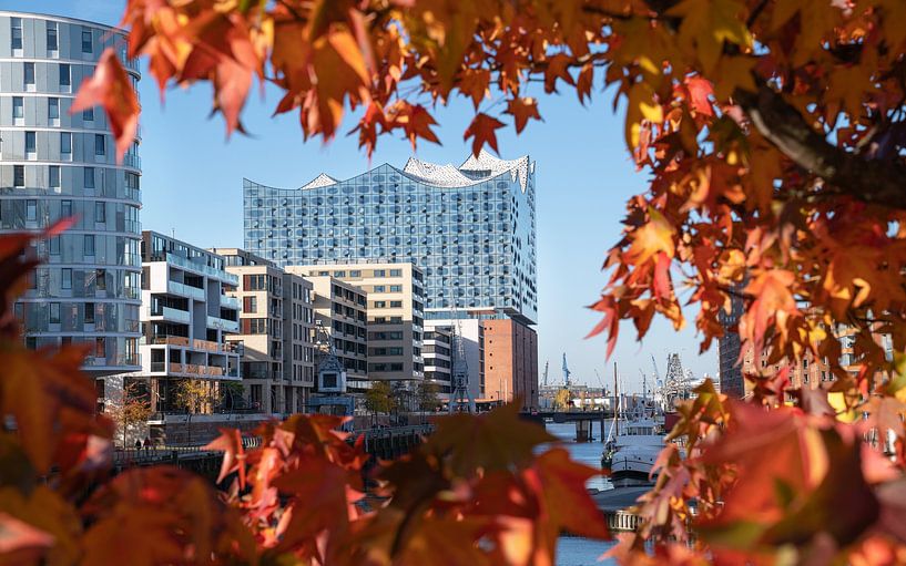 Hafencity von Hamburg, Deutschland von Alexander Ludwig