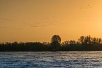 Avondvlucht