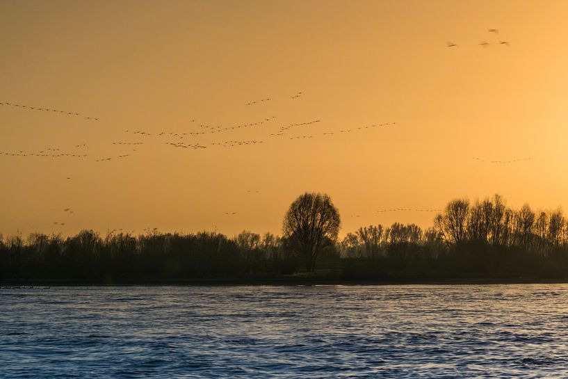 Abendflug von Erna Böhre