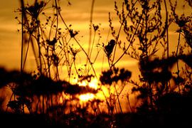 Herfstsilhouette van KaHoo Wong