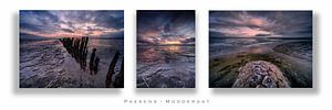Lever de soleil à Paesens-Moddergat (triptyque)