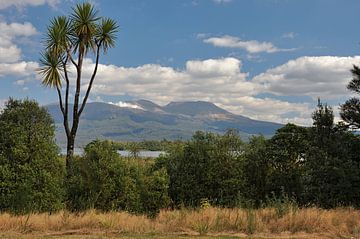 Immensity of the plains at the foot of Tongariro by Frank Photos
