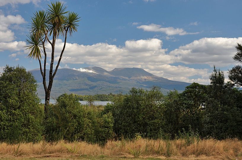 Immensity of the plains at the foot of Tongariro by Frank Photos
