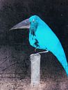 De Blauwe Vogel van Christine Nöhmeier thumbnail