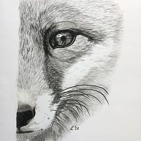 Fox von Ellen Winder