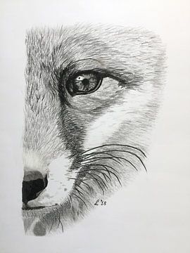 Fox by Ellen Winder