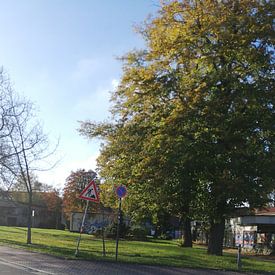 Landschaftsbilder JONAS Profile picture