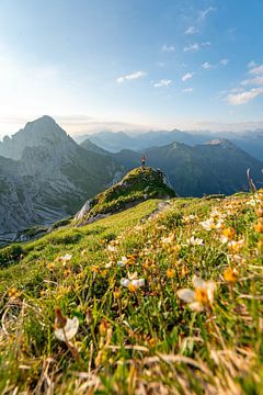 Bloemrijk uitzicht op de bergen van Tirol en Tannheim van Leo Schindzielorz