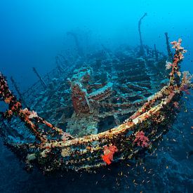 Aida shipwreck, Brother Islands, Egypt by Norbert Probst