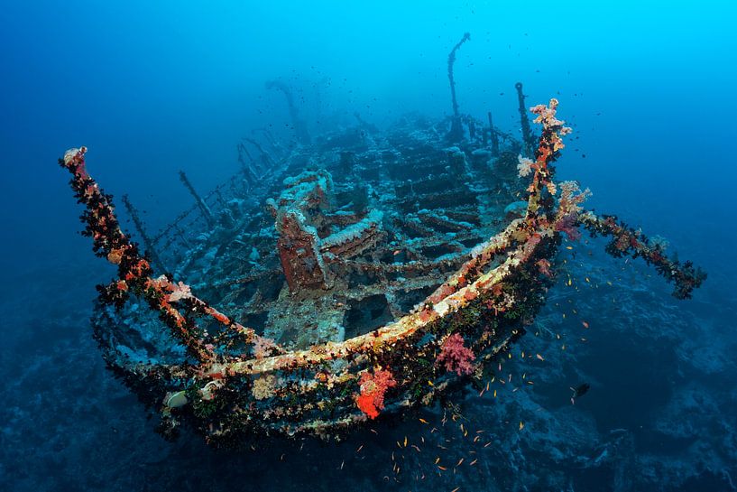 Schipbreuk van de Aida, Broer Eilanden, Egypte van Norbert Probst