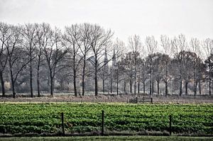 Zicht op Uden von Anouschka Hendriks