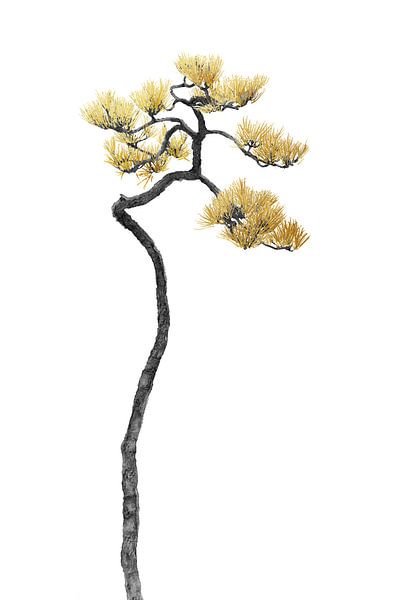 Bonsai Tree 05 by amini54 